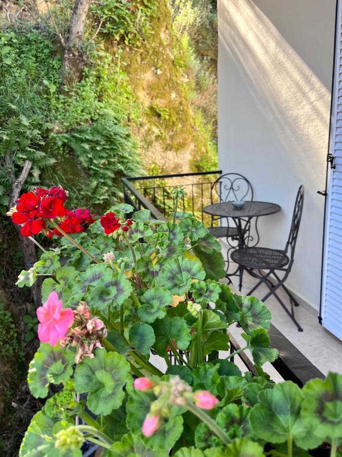 Helena'S Apartment In Corfu Town Exterior foto